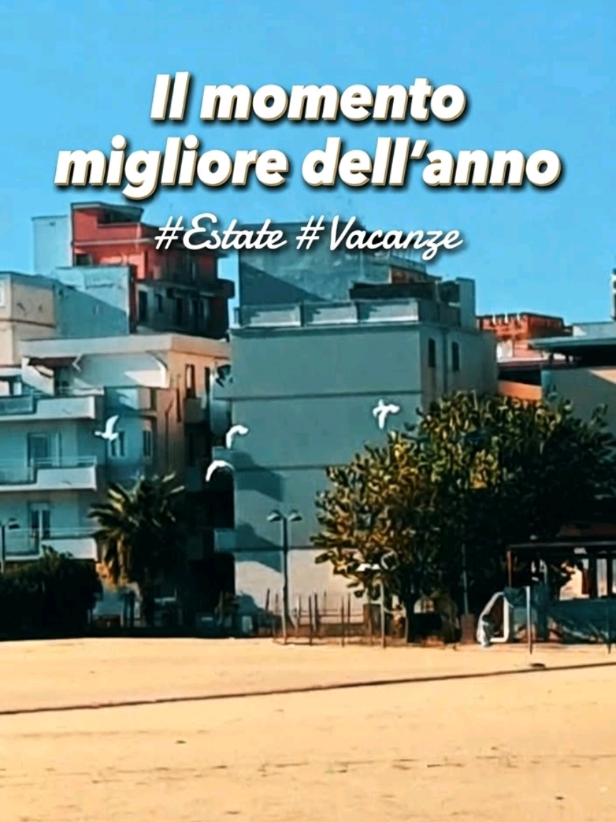 @Fenicottero Reale 🦩