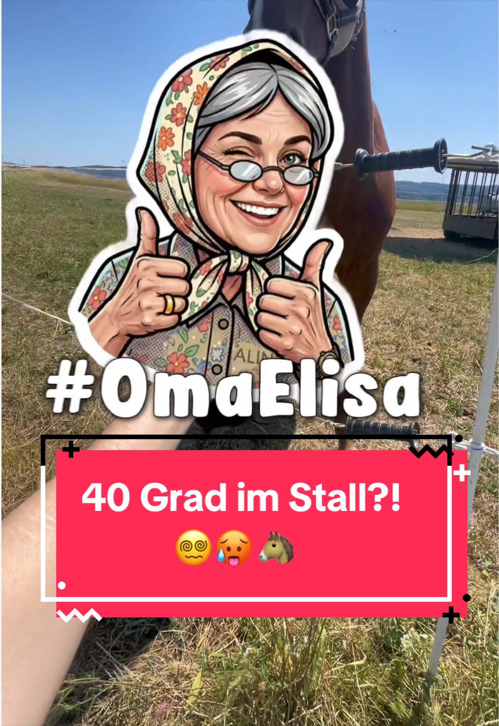 @Elisa & Samba ♡
