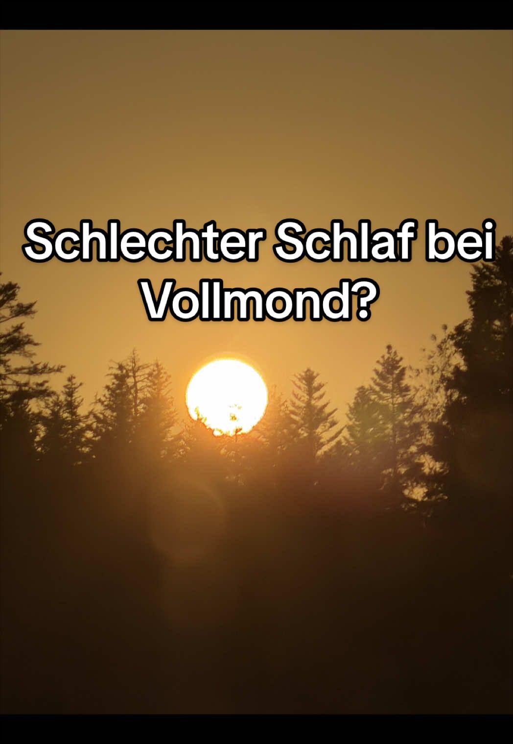 @jennifer.lamprecht