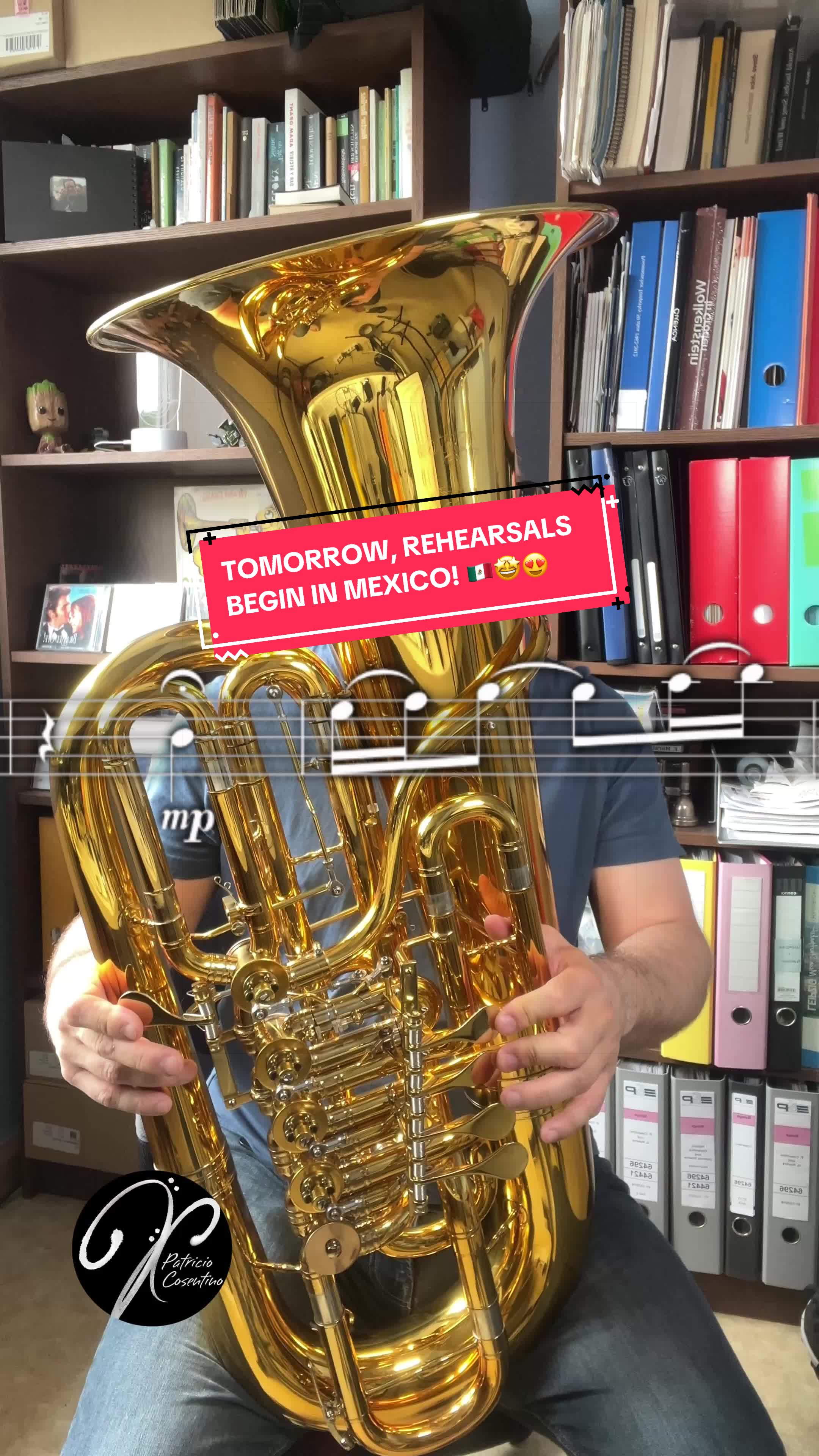 @Patricio Cosentino