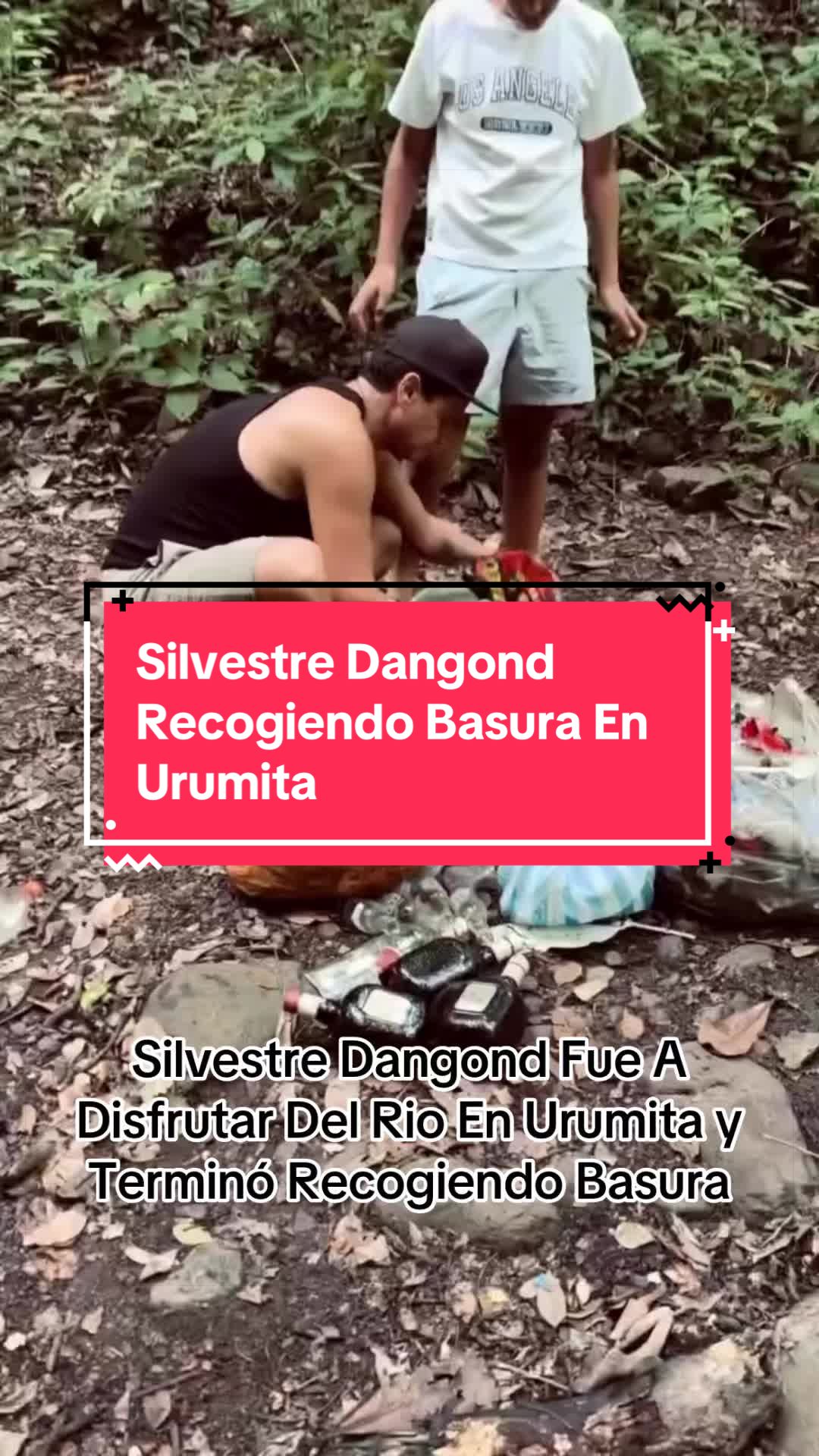 @silvestrazos