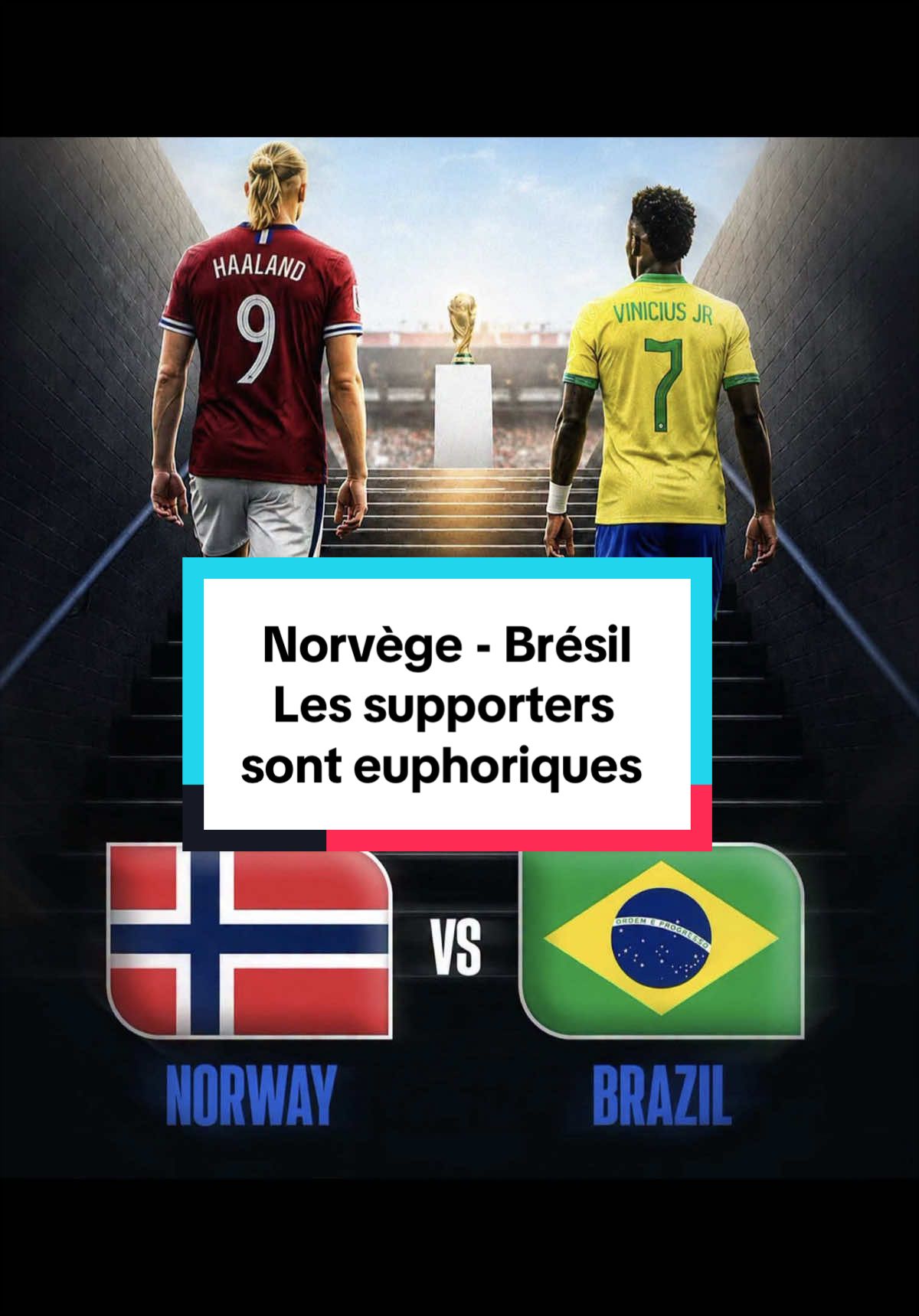 @Tout savoir sur la Norvège🇳🇴