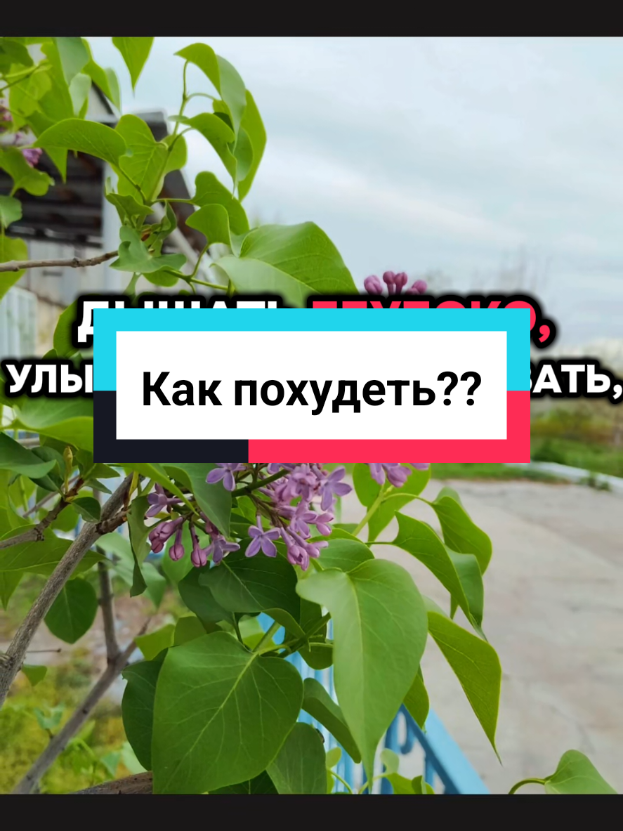 @💝Элли мукбанг💝