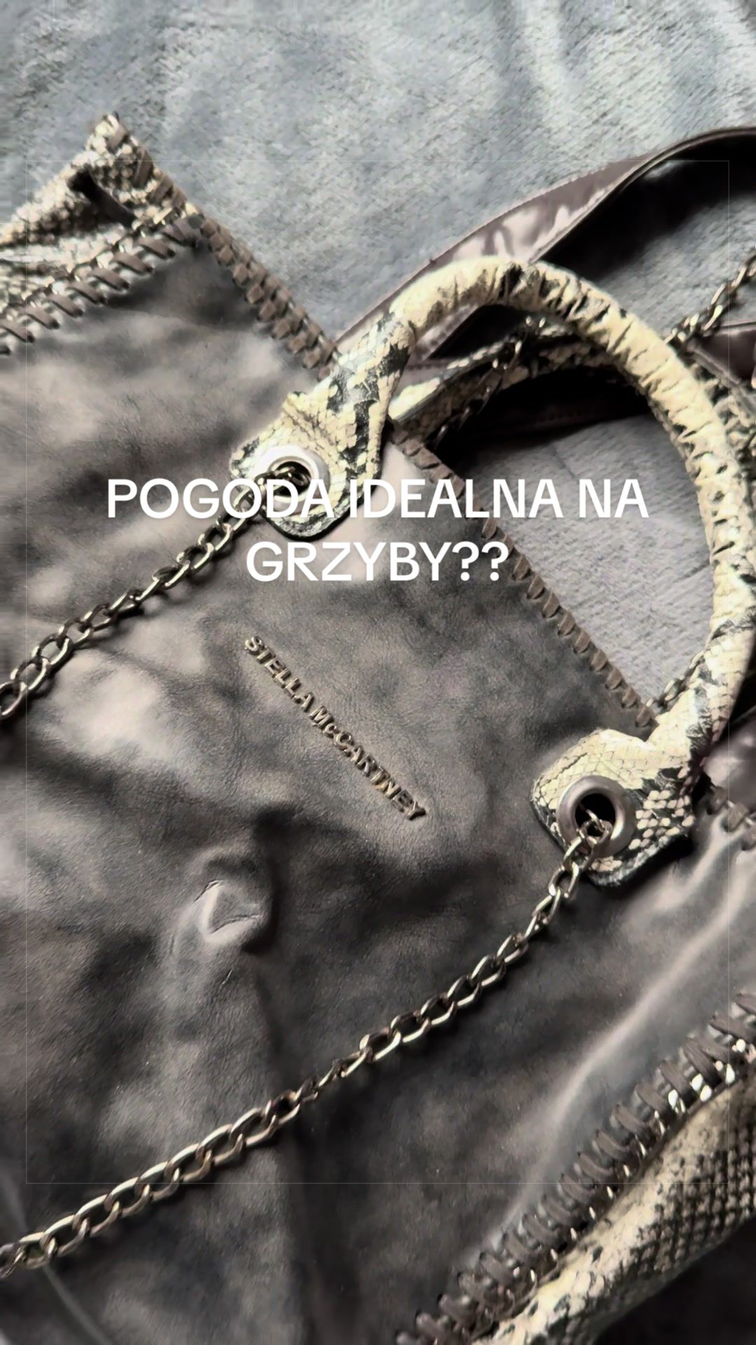 @big essa kostek