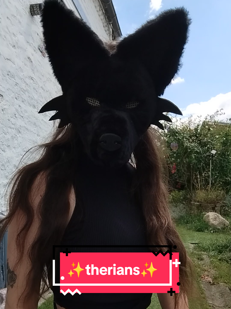 @🐺blackwolf.and.calicocat😺
