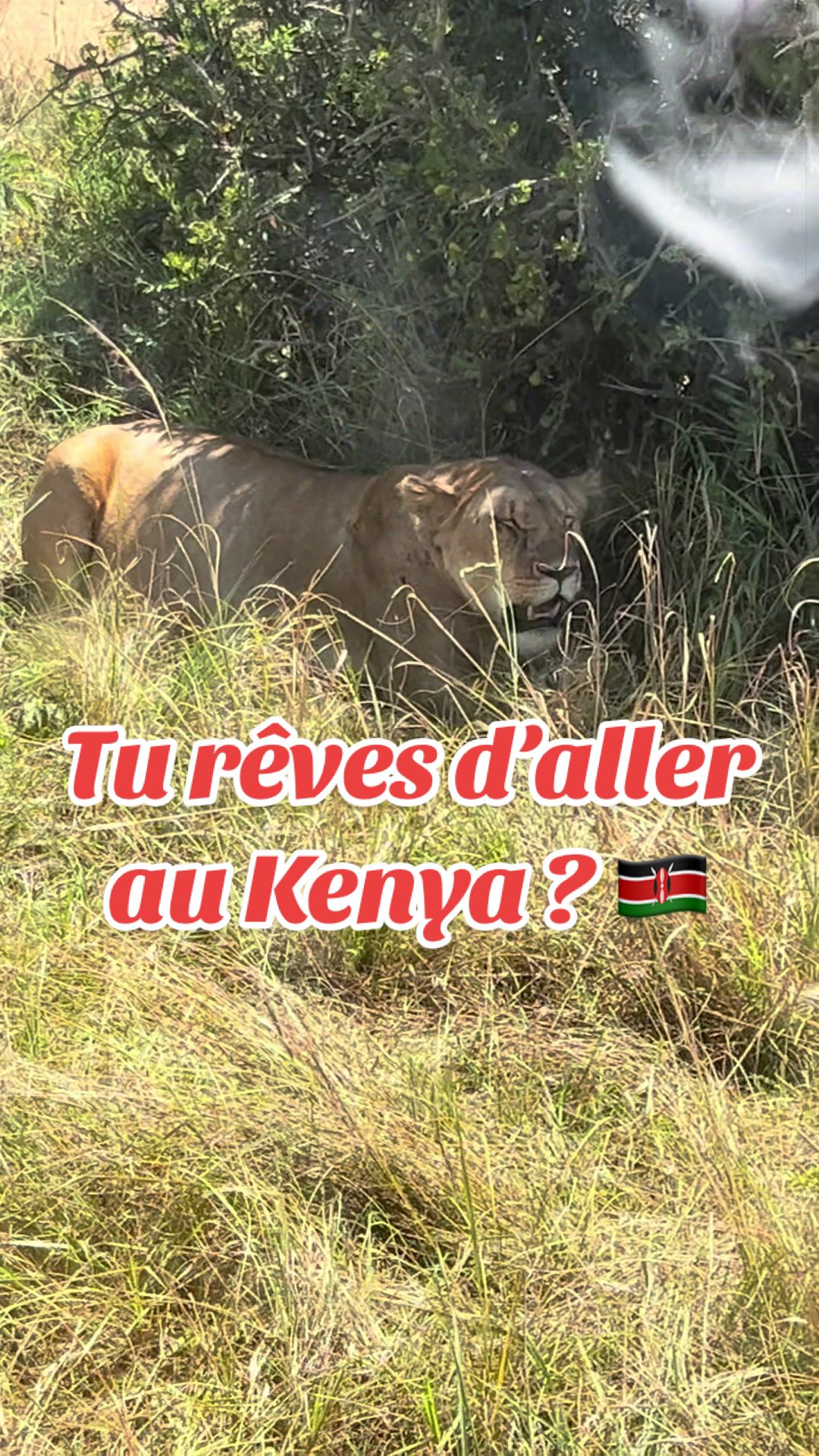 @Kaylliah