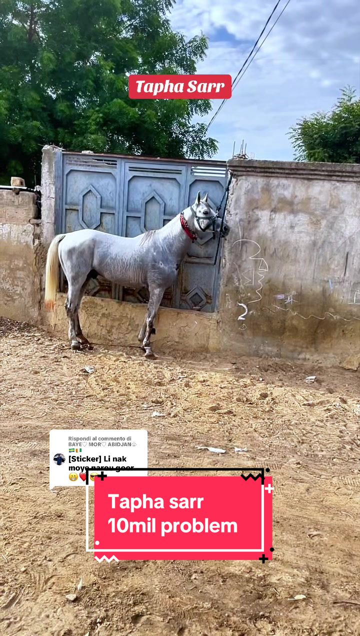 @10milproblem