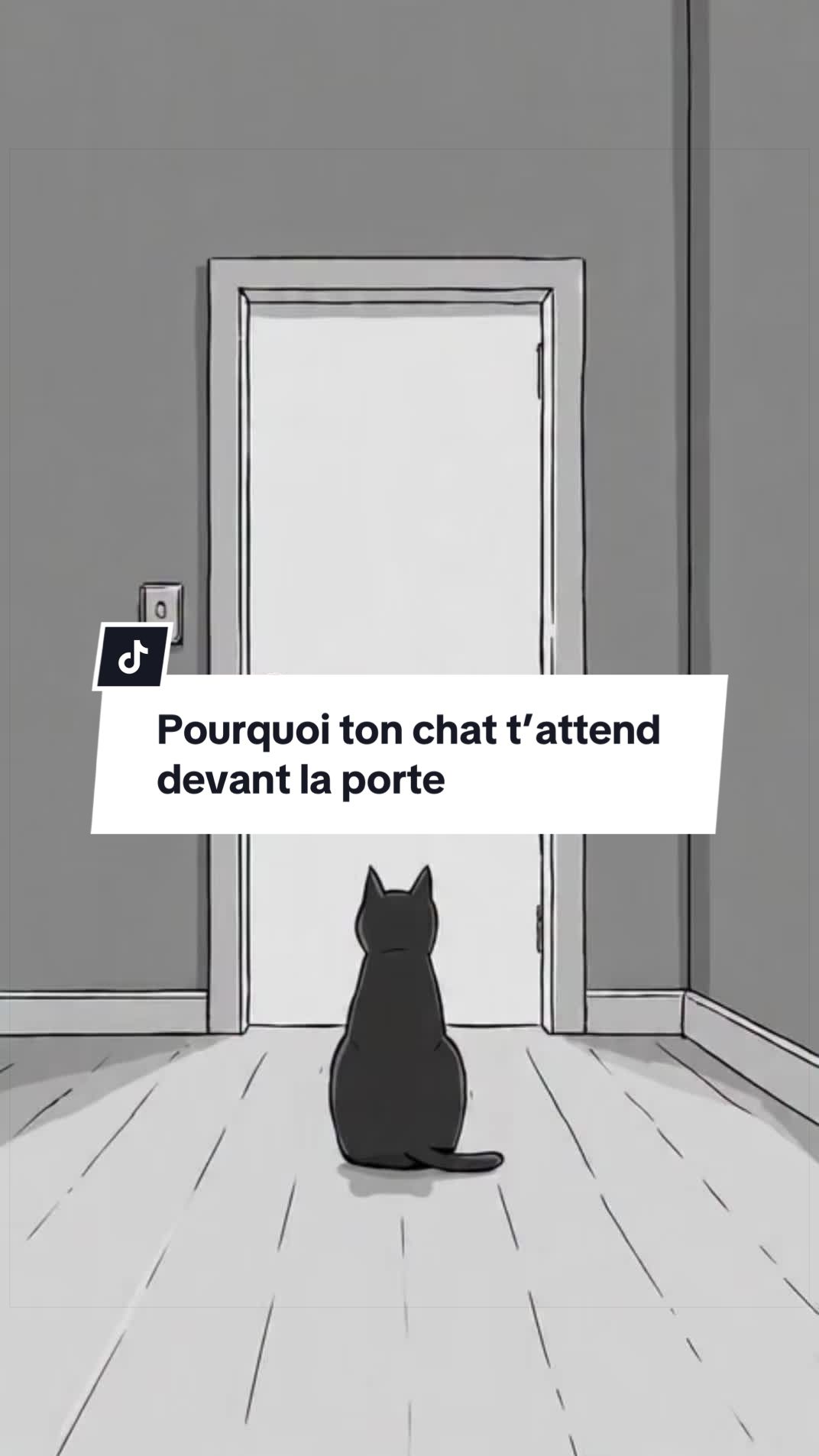 @PsyCat