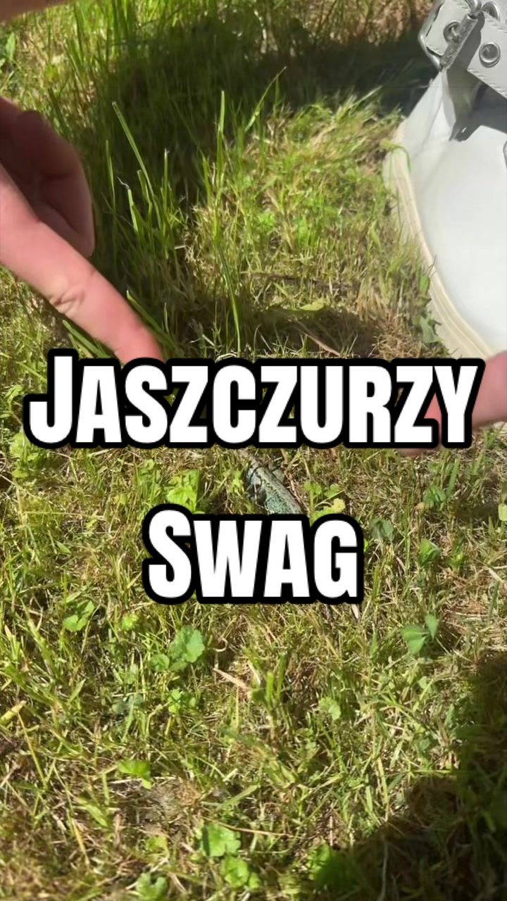 @Jan Leśniak