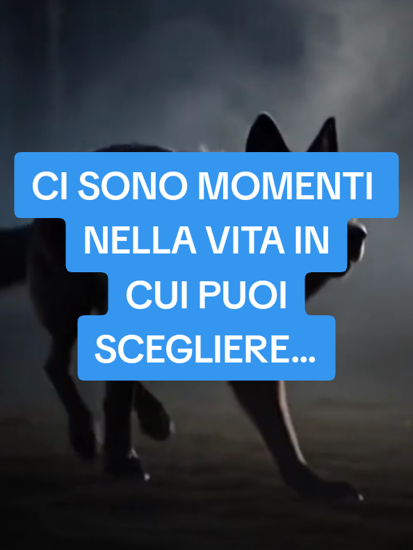 @ALESSANDRO_IL_ROMANO