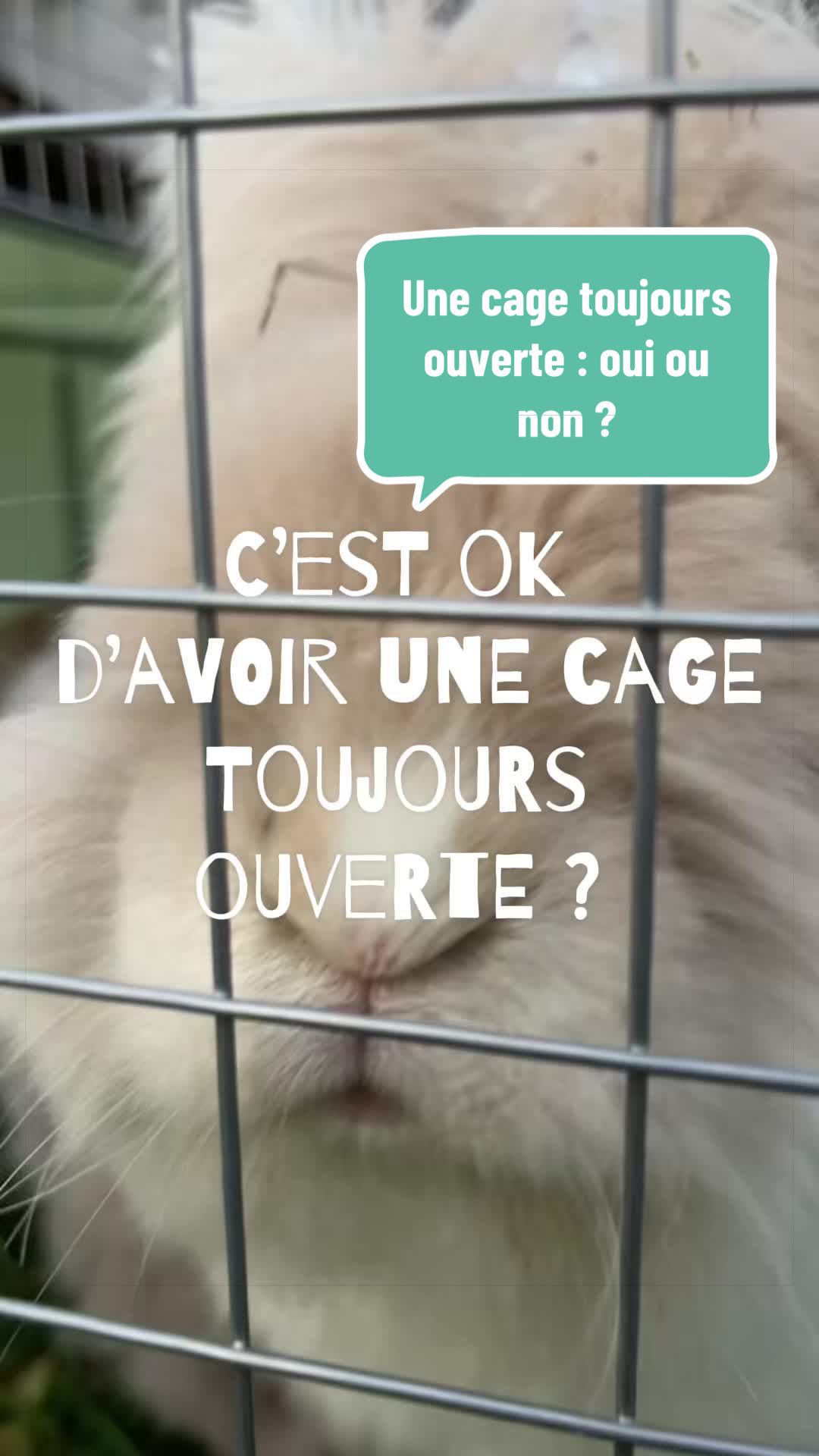 @Mes lapinouchs 🐰🐹