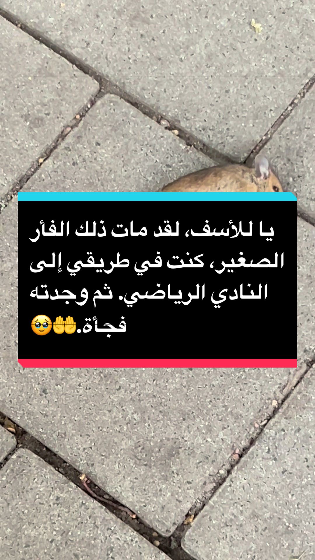 @Najia🇲🇦🇩🇪
