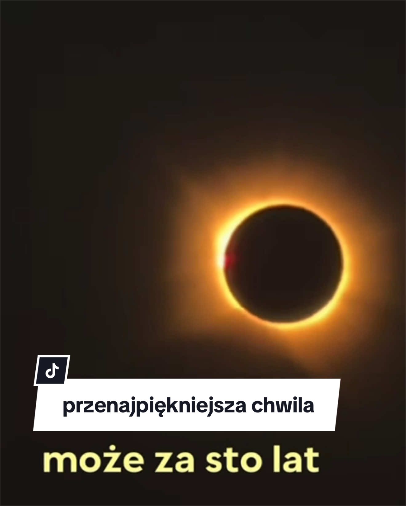 @fireverka • Werka Zych •