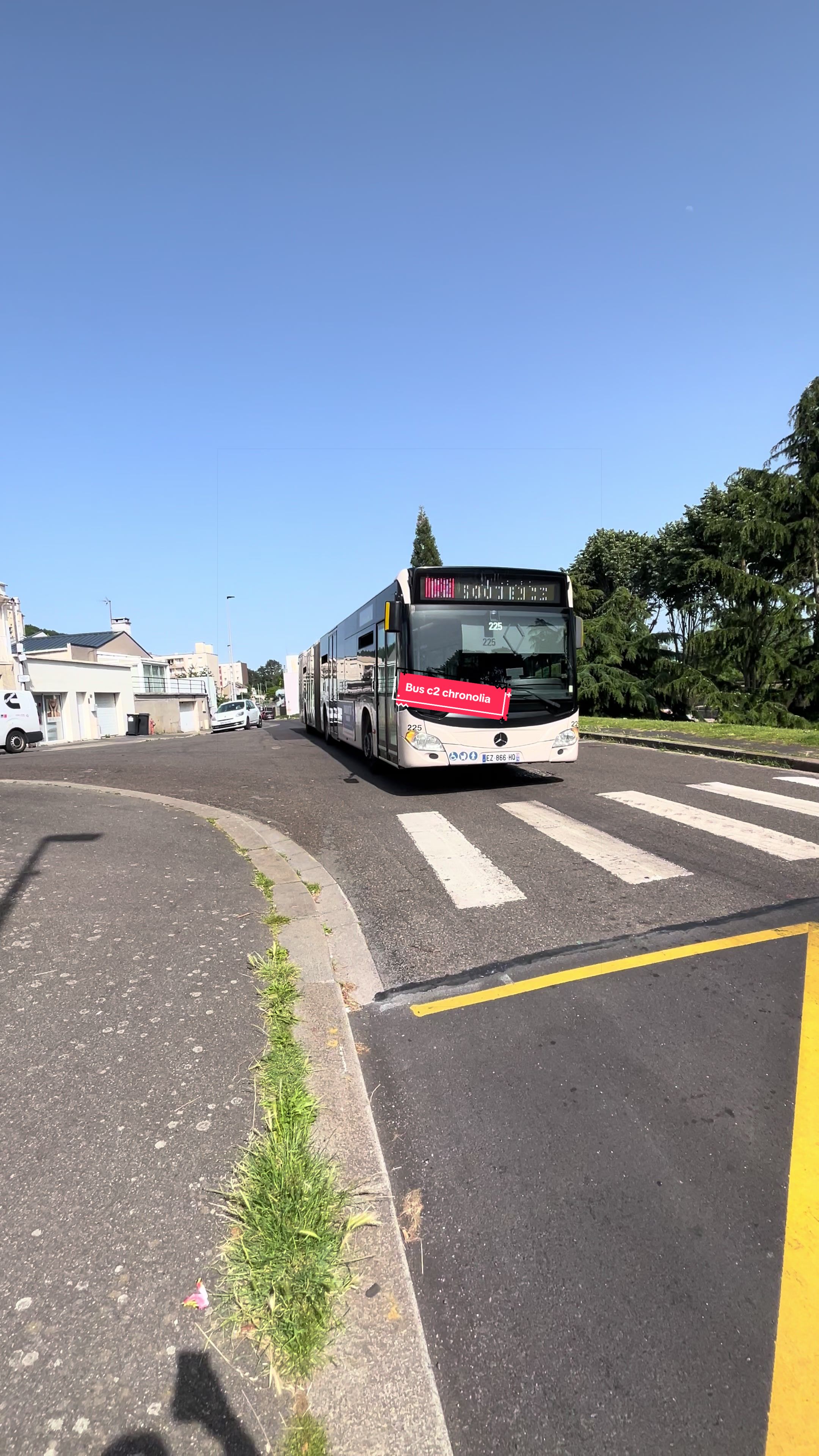 @B.U.S T.R.A.N.S.P.O.R.T 🚌🚎