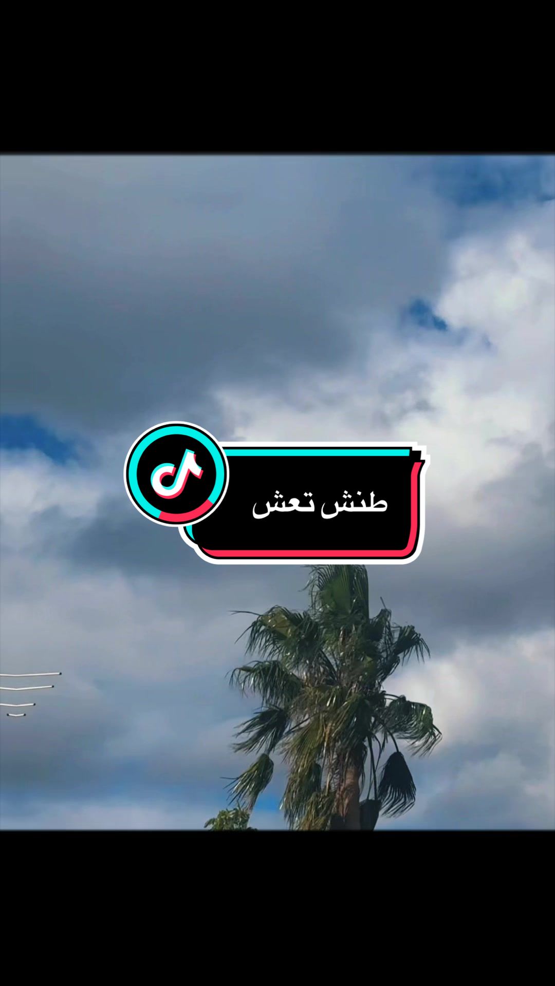 @NAHLA T jamel