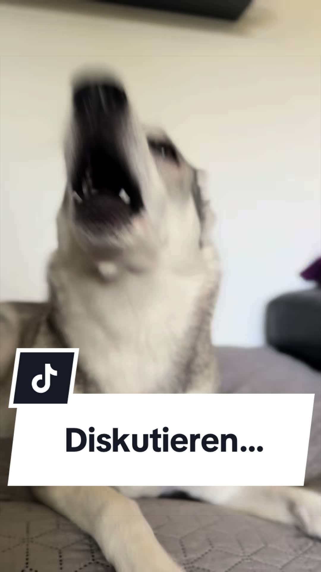 @Coco & Ylvi
