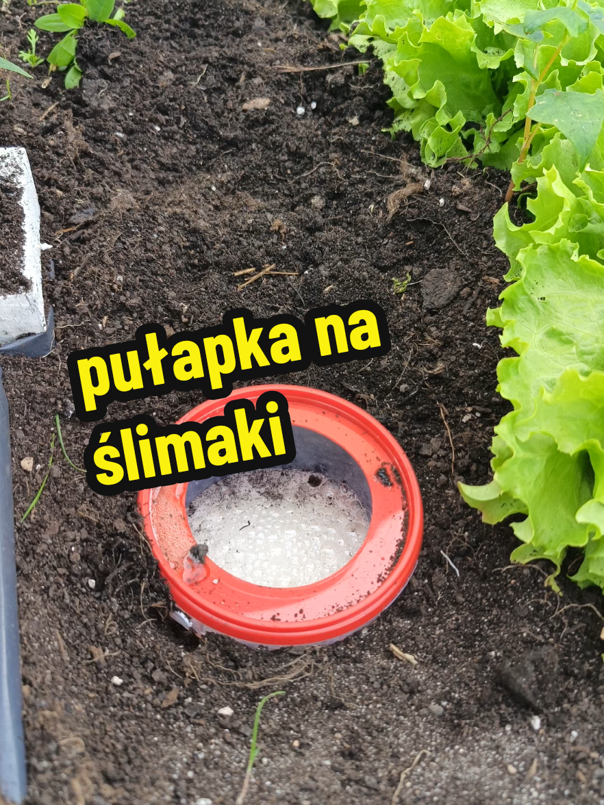 @Marcin ogrodnik