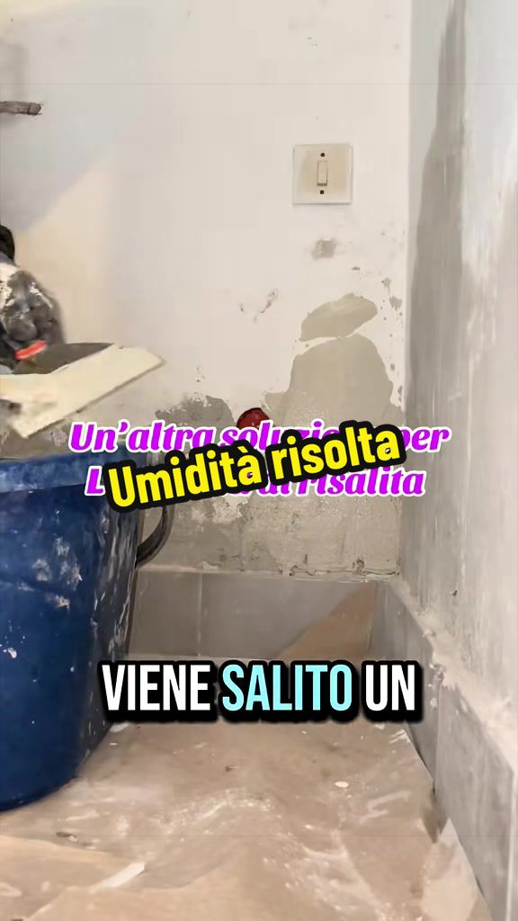 @Alessandro Cuomo ♌️