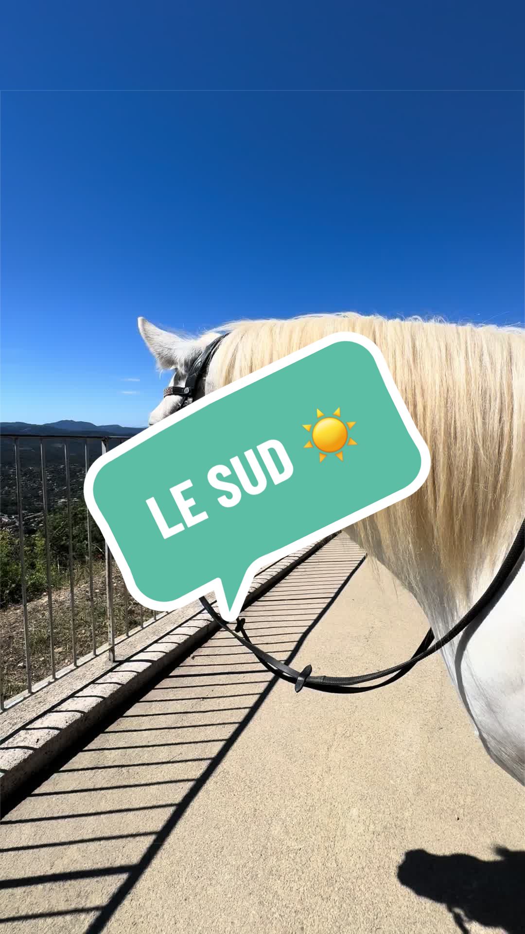 @Salut c&rsquo;est Marine