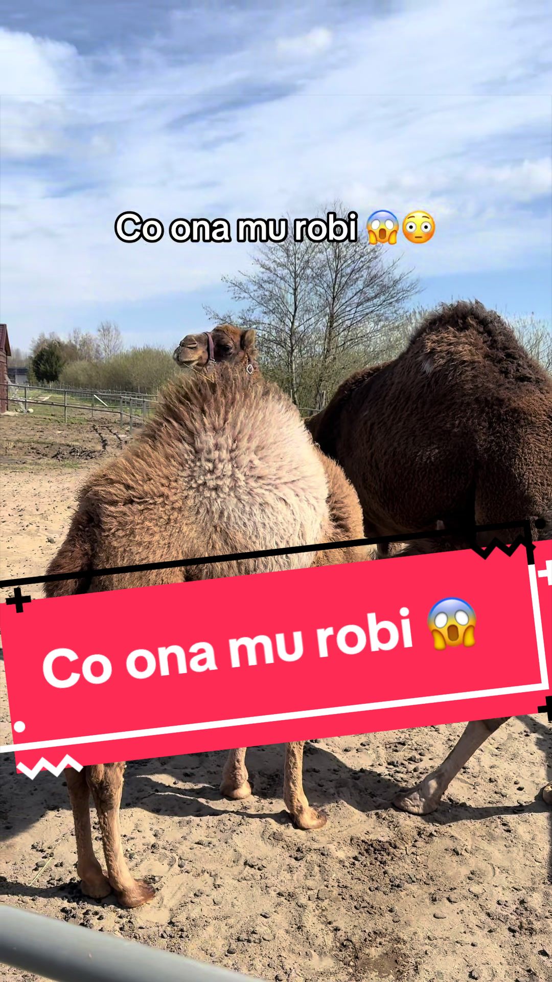 @Łukasz