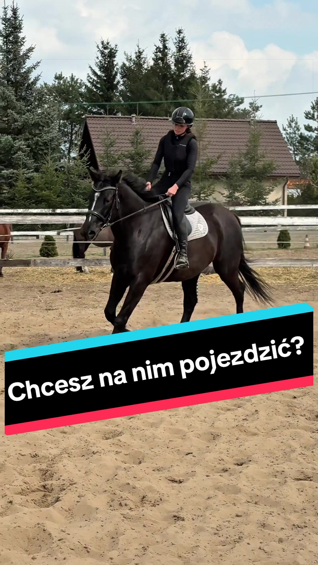 @Stado_Belli