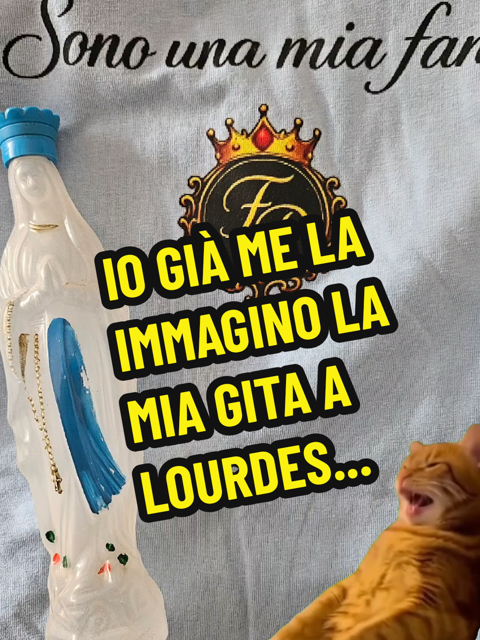 @👑SONO UNA MIA &ldquo;FAN&rdquo;👑