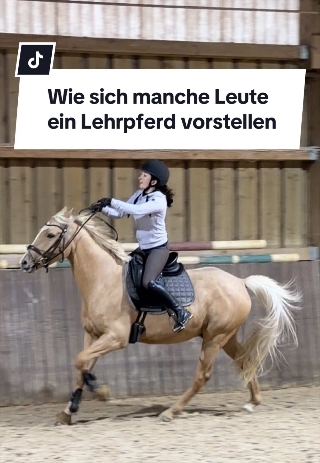 @Sophia &bull; SL Reitschule