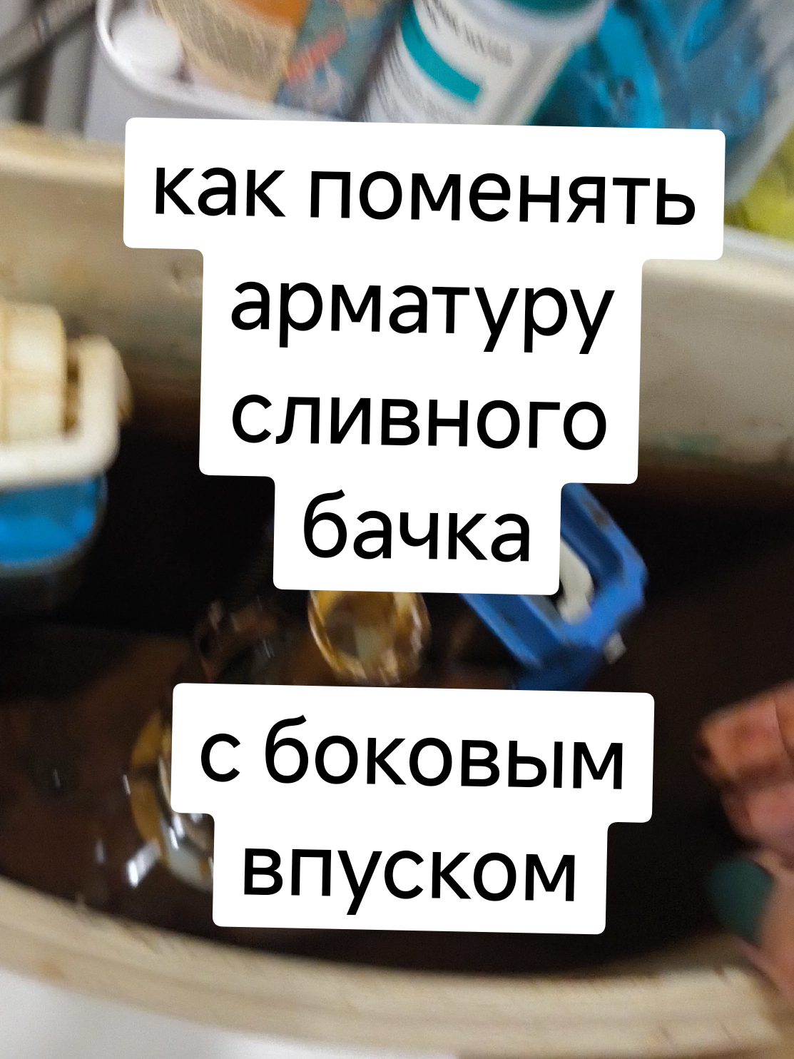 @Женя Садовая