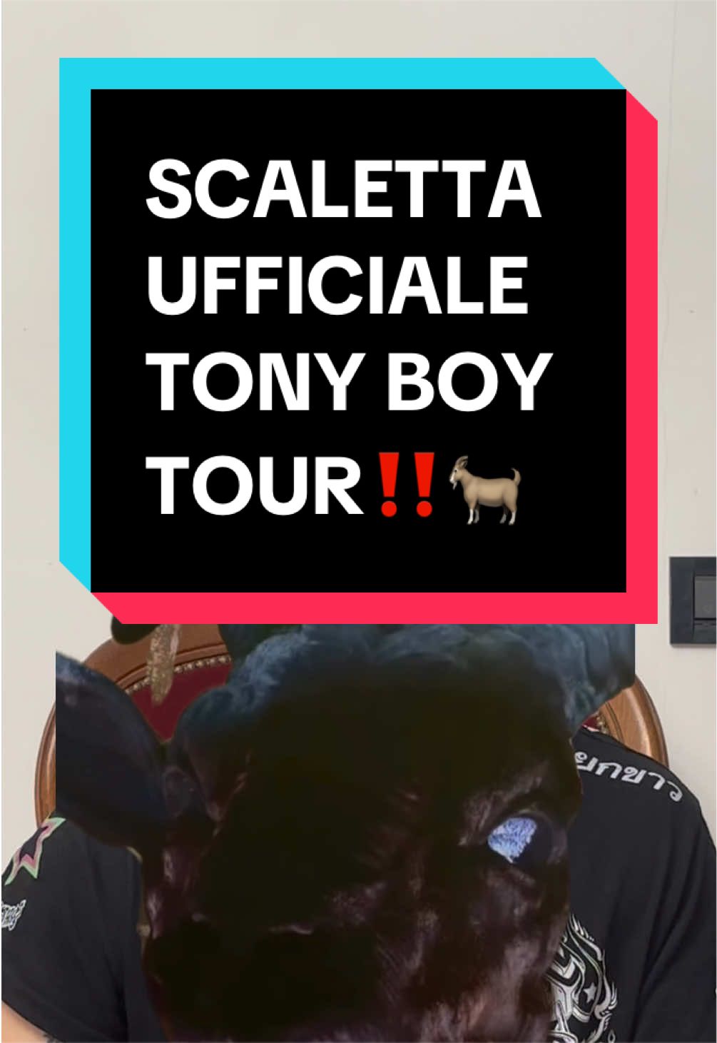@anthonybellina