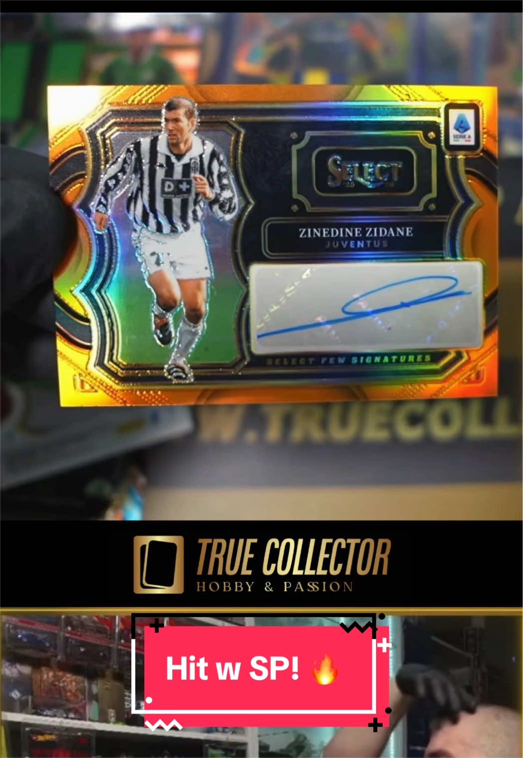 @True Collector Shoty