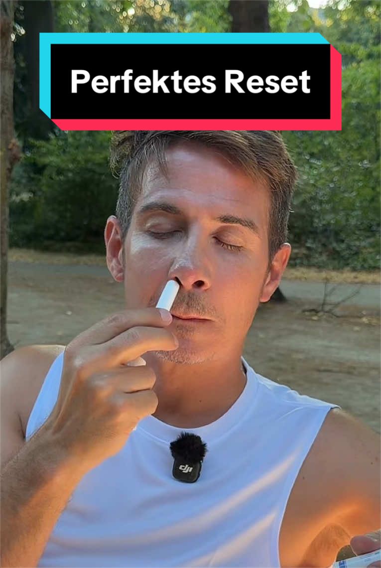 @MaximNoise
