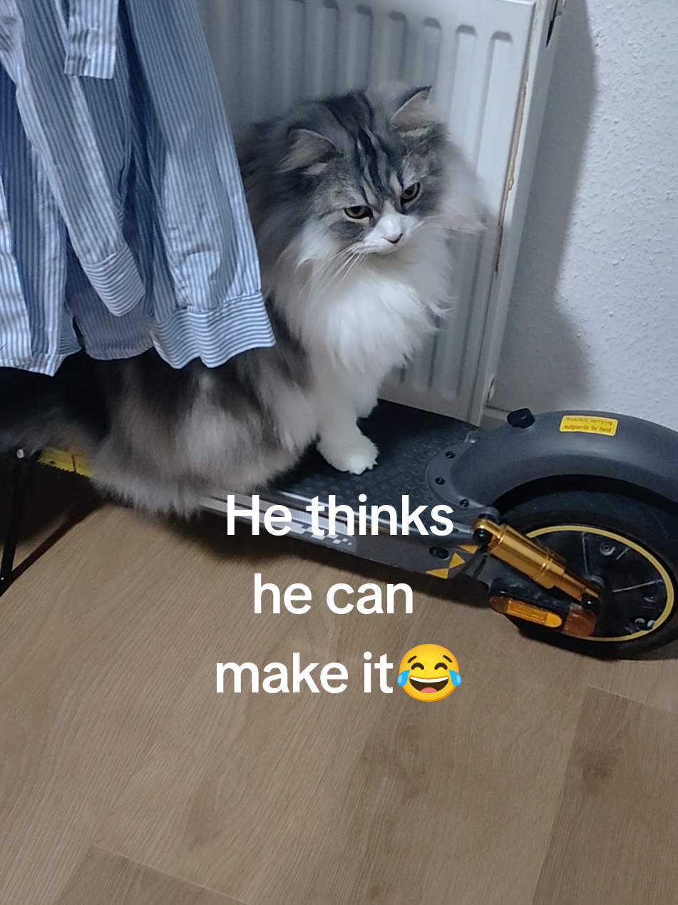 @LeonMylo