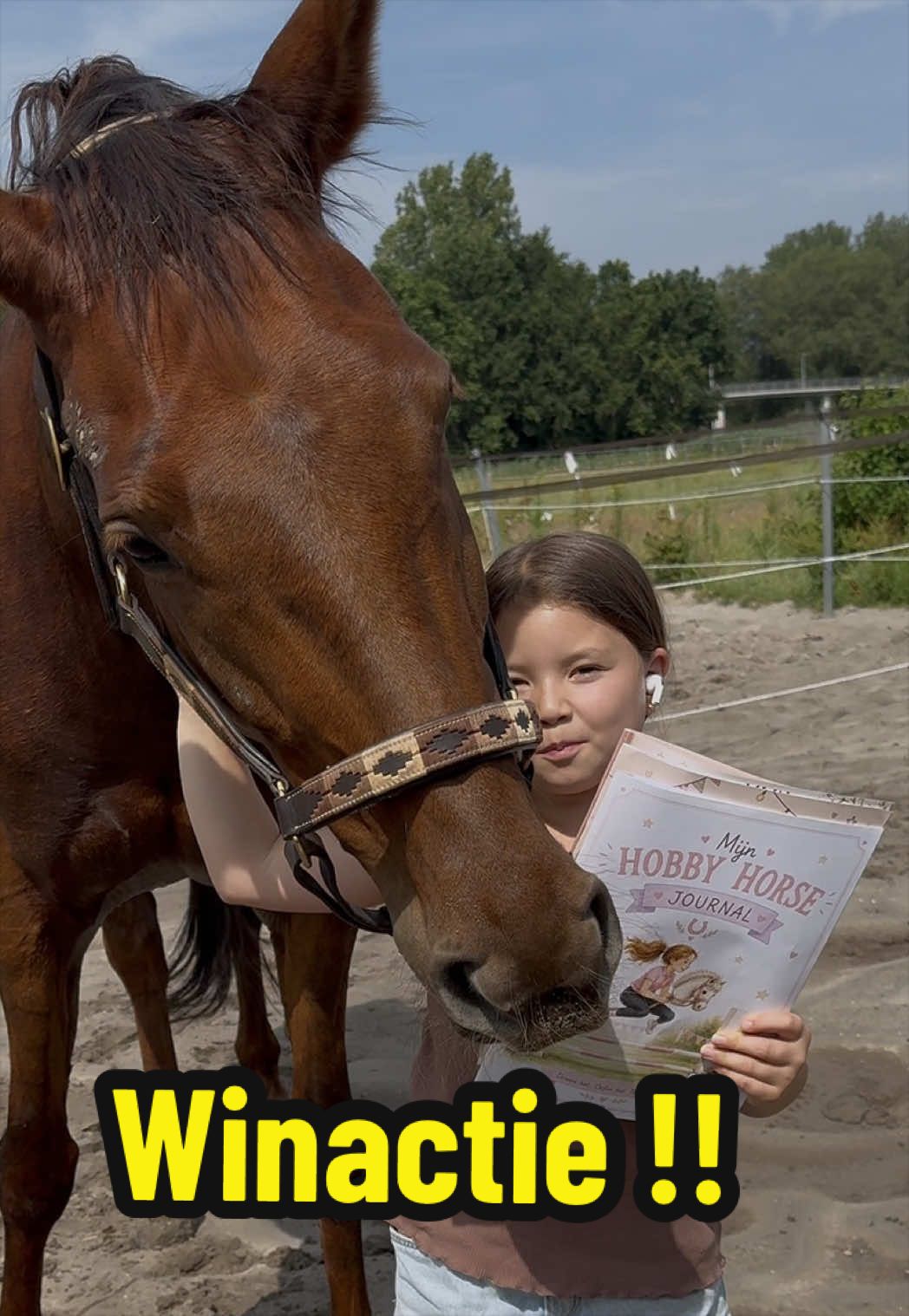 @Young Rider Journey🐴