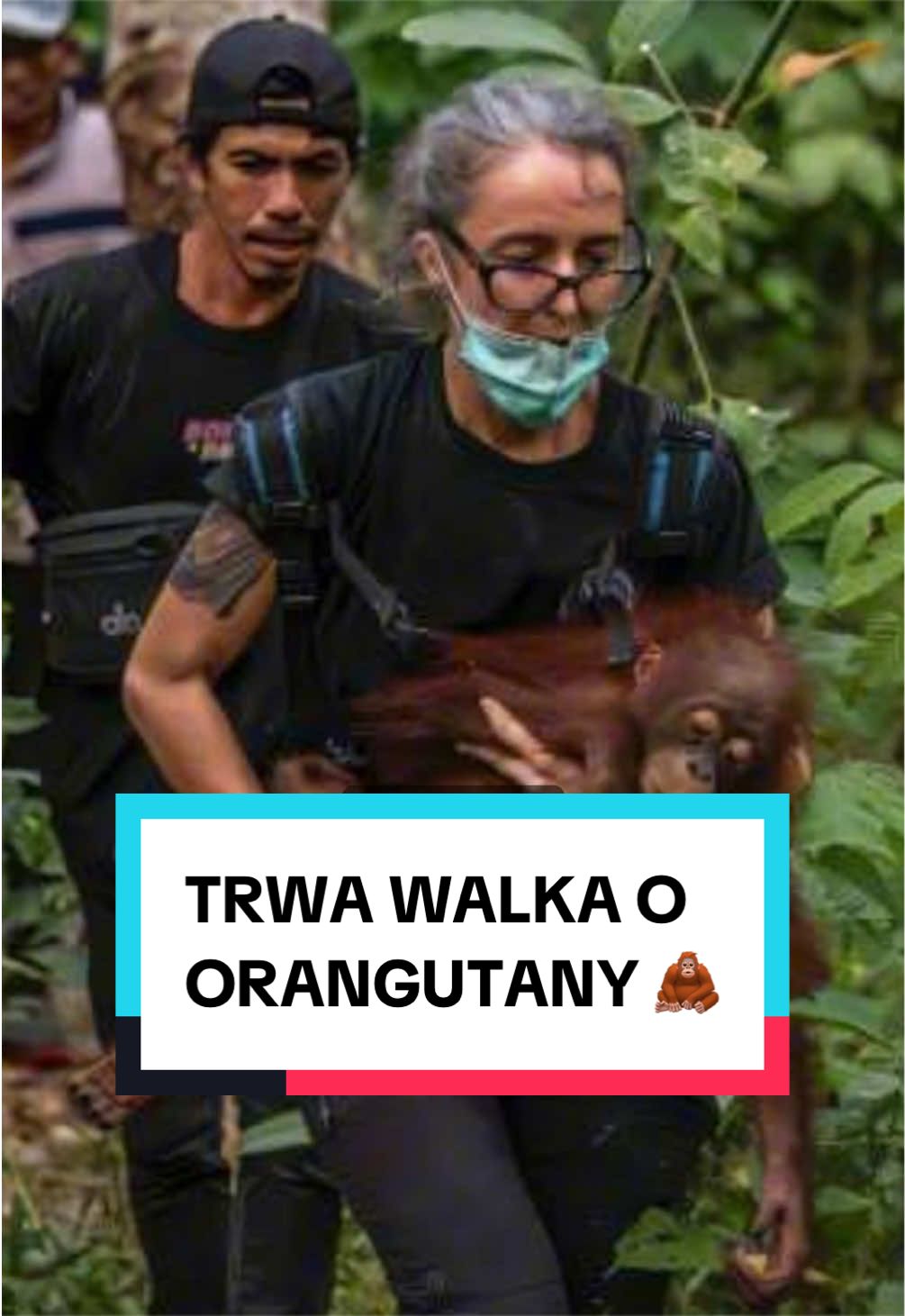 @pandawojtekyt