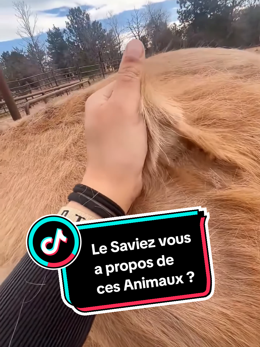 @TMFR 🇫🇷