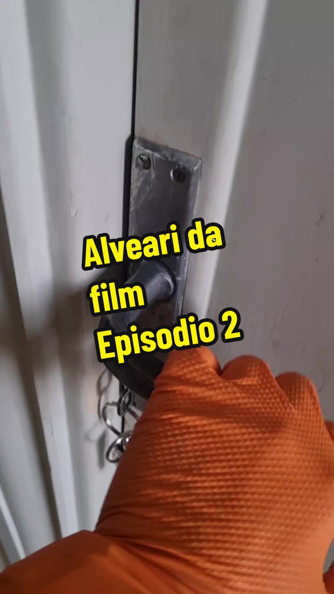 @Daniel Palmieri