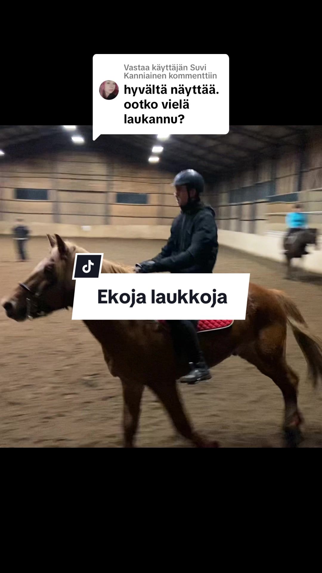 @Elmo Lindgren