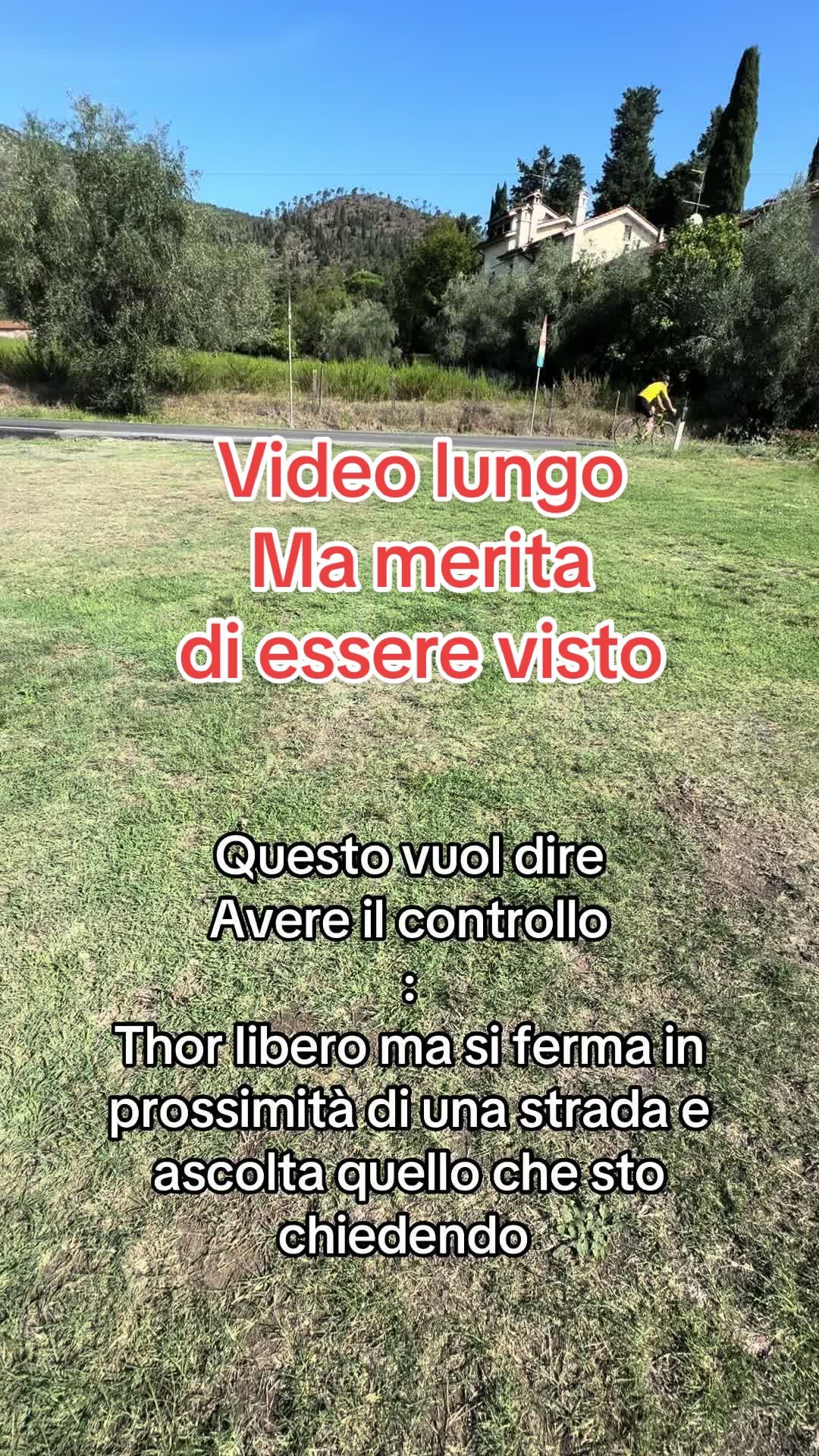 @Le avventure di Thor 🌪️ w ❤️
