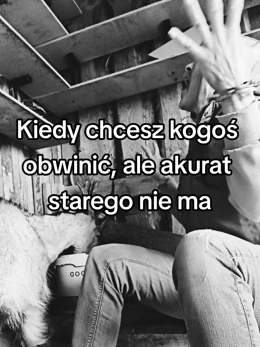 @Makowa Koza - sery z Kociewia
