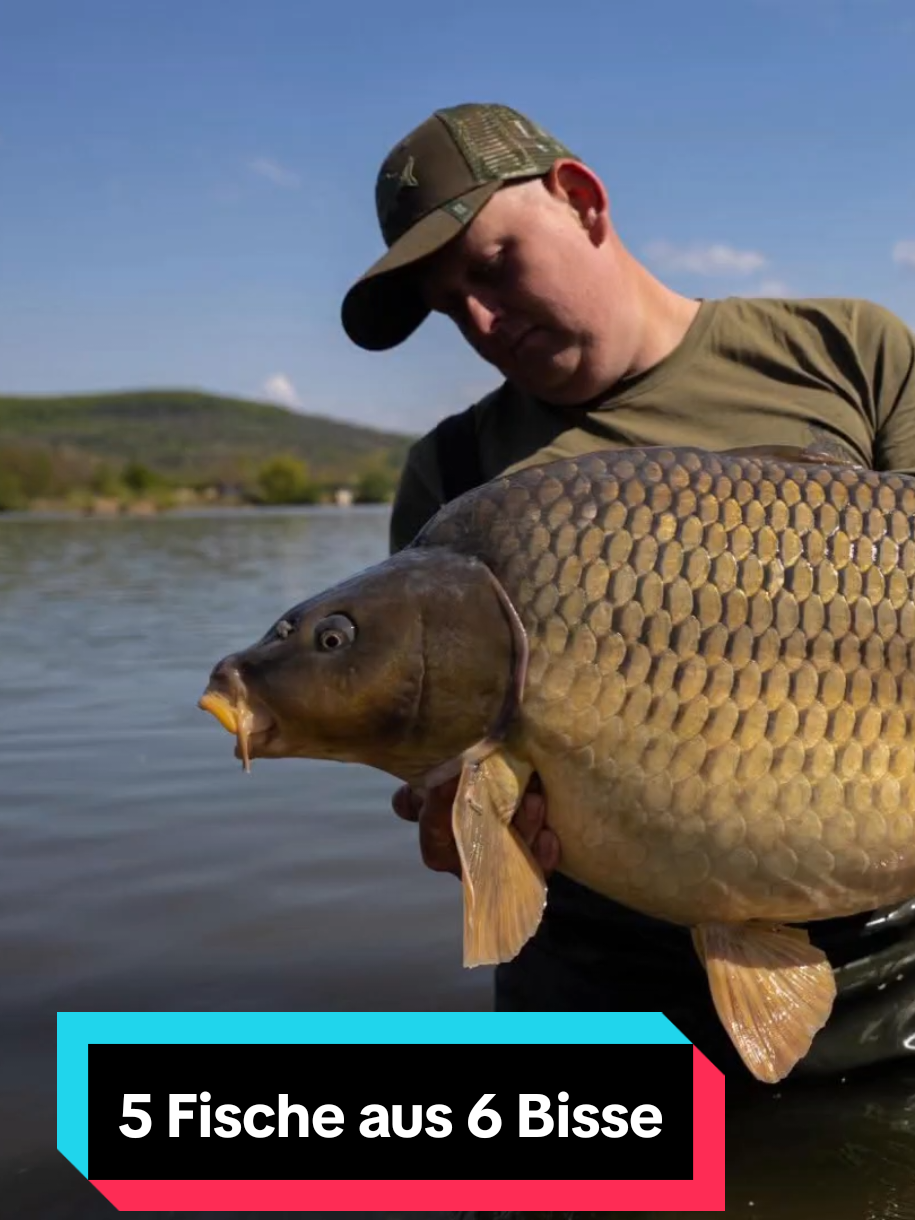 @Bait Bait Germany