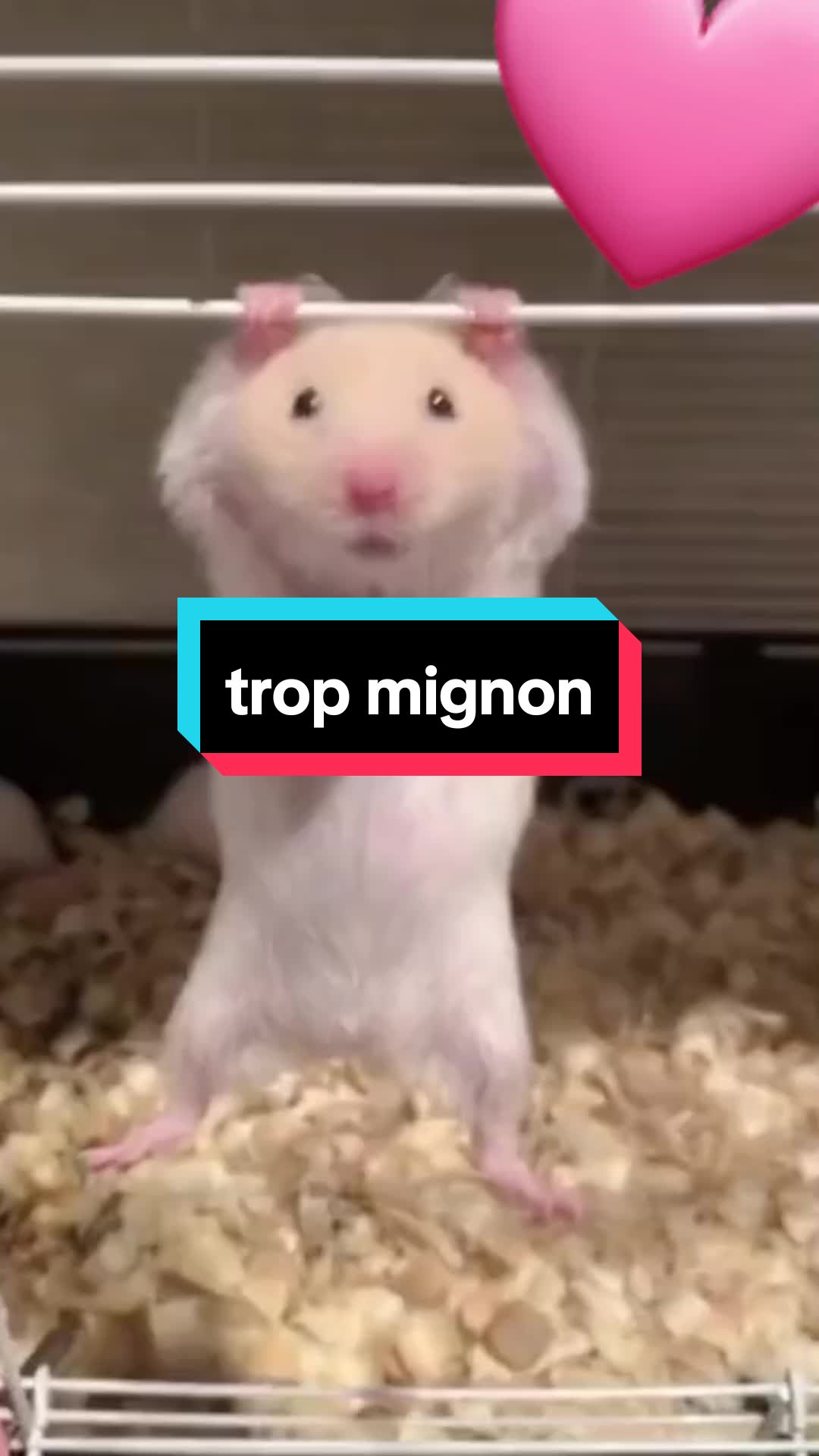 @𝑺𝒕𝒆𝒑𝒉 ✨