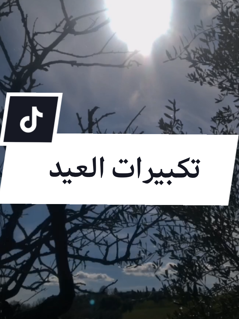 @Idoghlaf Mohamed