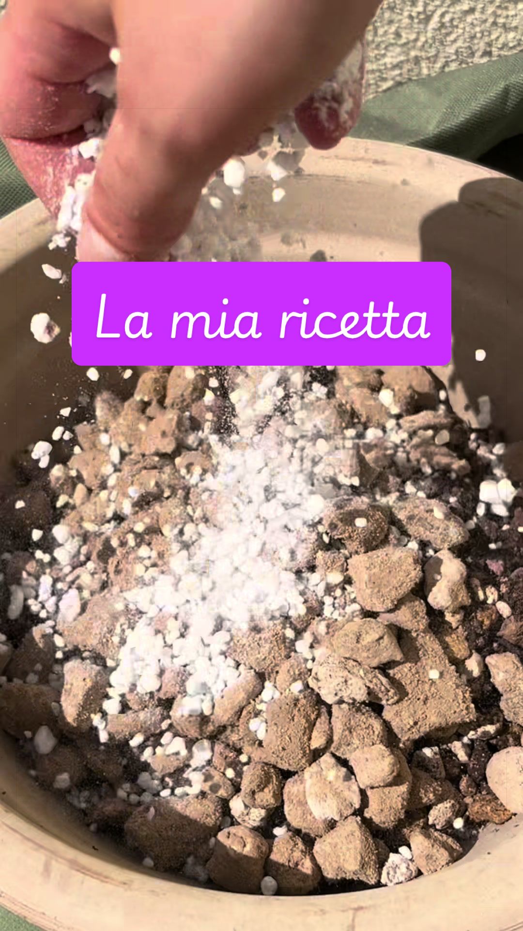 @piccole.spine.felici