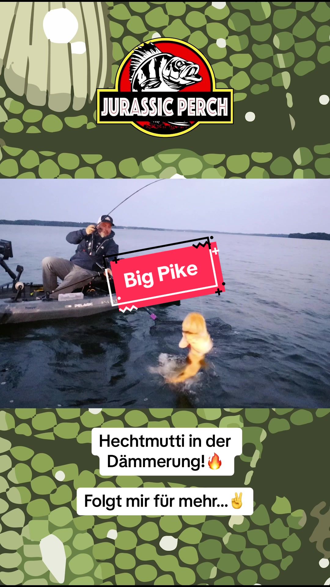 @Jurassic Perch Fishing
