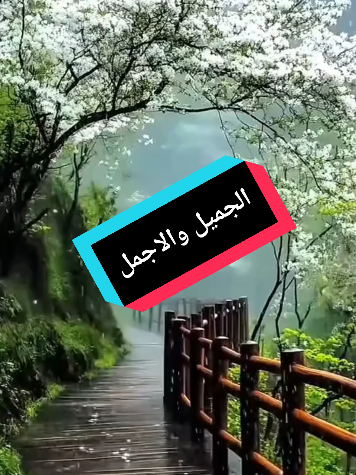 @صدى الصمت 🌸