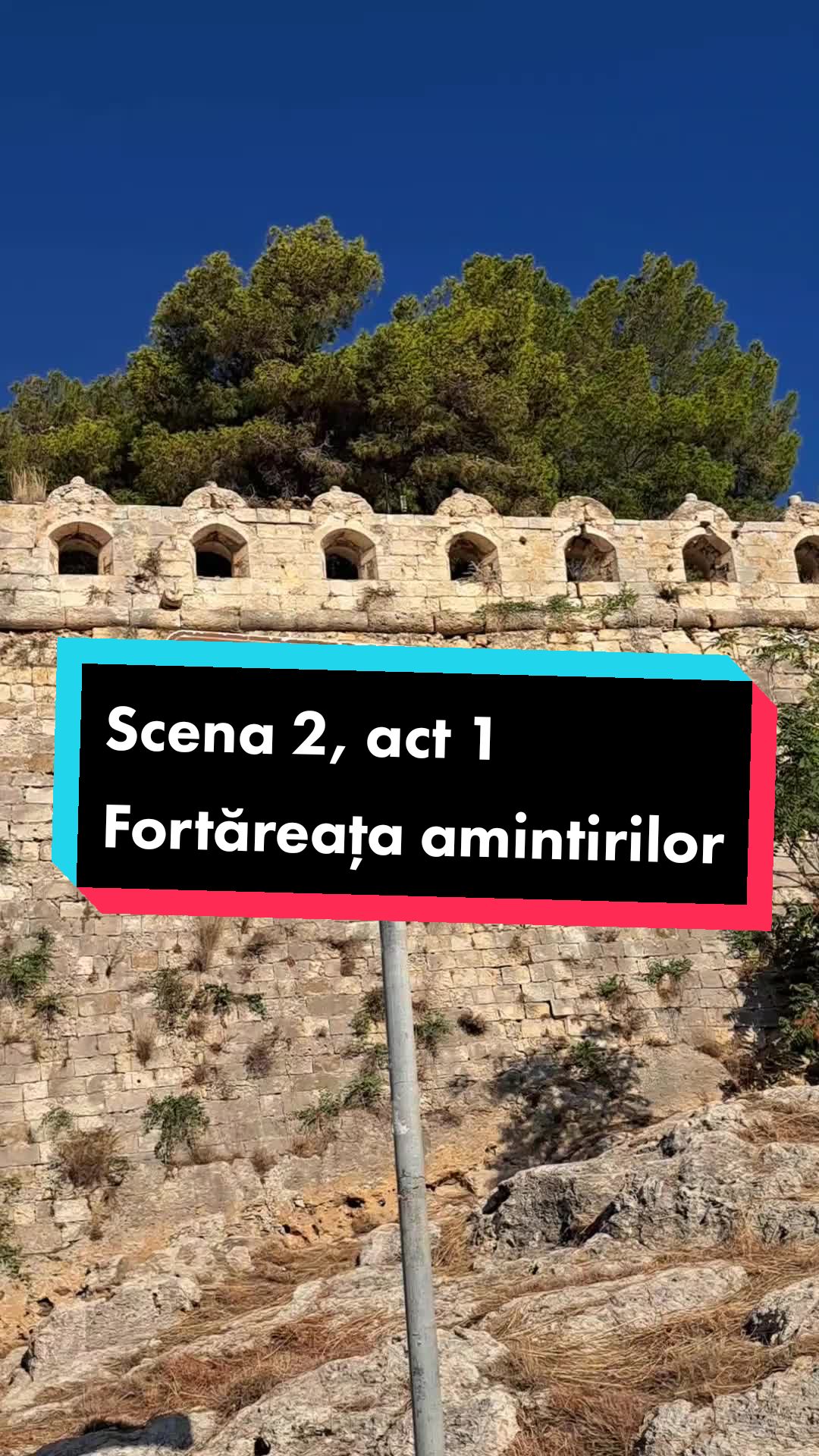 @Dora