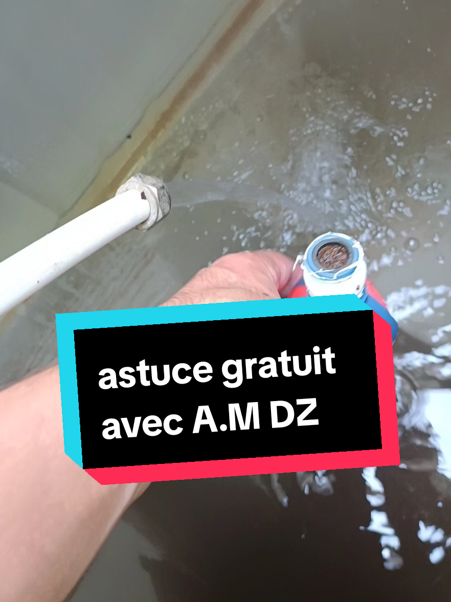 @A.M DZ