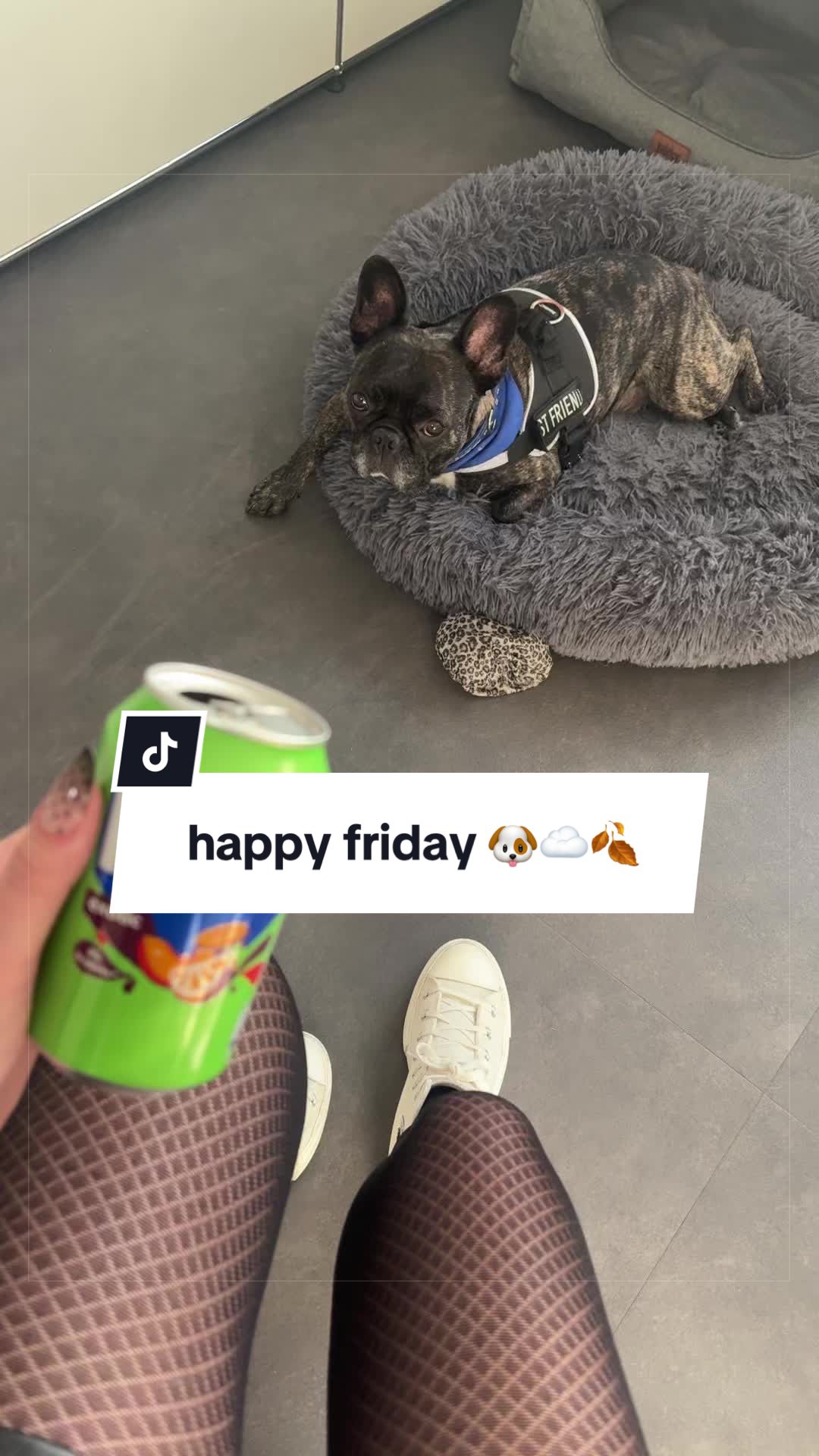 @Oscar ๐๐
๐