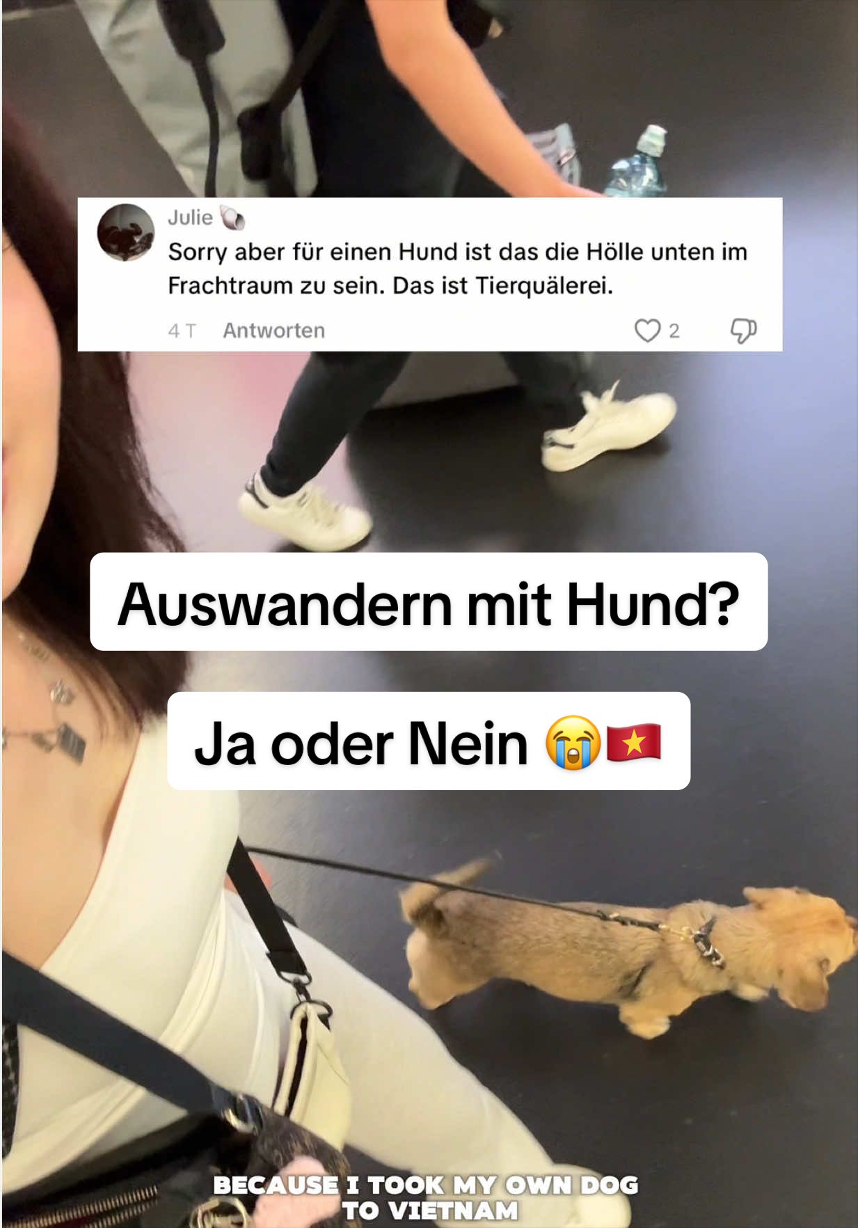 @ellendieerdbeere