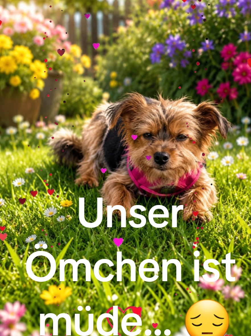 @Carina Schwarz876